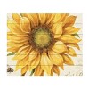 "Under the Sun I" Outdoor All-Weather Wall Decor - 2 of 4