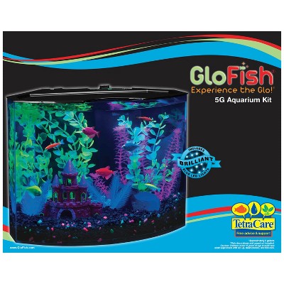 GloFish Crescent Aquarium Kit 5 Gallons, Includes Hidden Blue LED Light And Internal Filter