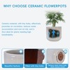 SpassWay 16" Dia Outdoor Indoor Ceramic Planter Pot Decorative Planter with Drainage Hole Patio Flower Pot - 4 of 4