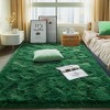 4'x6' Soft Rug Indoor Modern Fluffy Area Rugs for Living Room Bedroom Carpet Home Decor,Green - 4 of 4