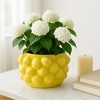 Cheerful Planter Pot Perfect for Indoor or Outdoor Herbs, Ferns, or Succulents - Modern Pot for Indoor - Great for Garden and Patio Decor - 2 of 4