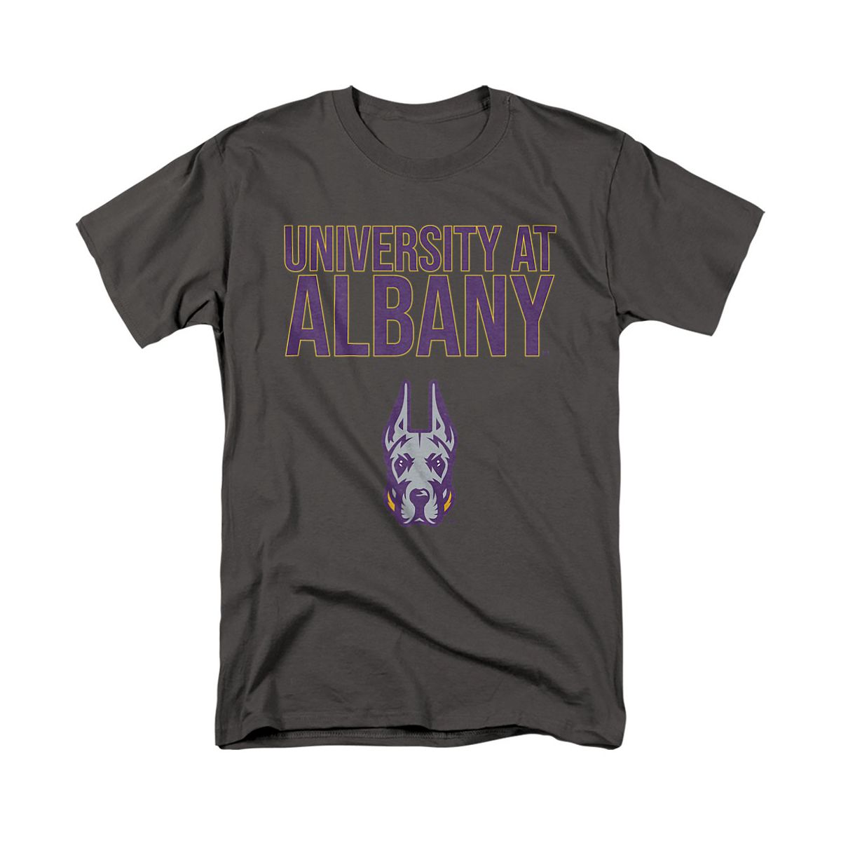 Men's University at Albany Official T-Shirt - thumbnail 9