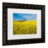 Trademark Fine Art - Peter Elgar The Canola Field Matted Framed Art - 3 of 4