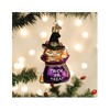 Old World Christmas Glass Blown Ornament for Tree, Trick Or Treat Kitty - 4 of 4
