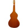 Gold Tone SM-Weissenborn+ Hawaiian-Style Left-Handed Slide Guitar Solid Mahogany Top - 2 of 4