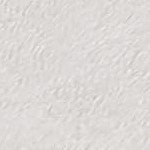 pure white