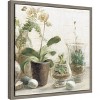 Amanti Art Greenhouse Orchids on Shiplap III by Danhui Nai Canvas Wall Art Print Framed 16 x 16-in. - 2 of 4