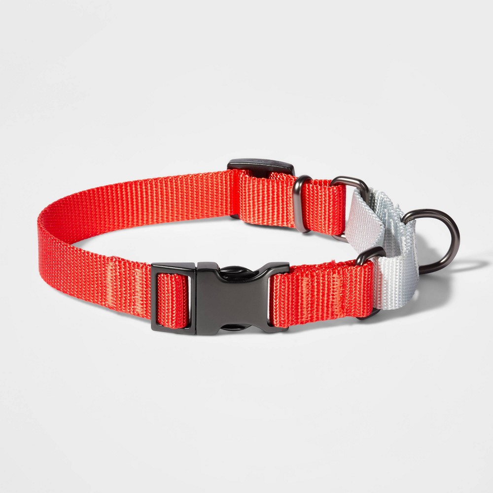 Photos - Collar / Harnesses Martingale with Buckle Dog Collar - Tomato/Silver - M - Boots & Barkley™