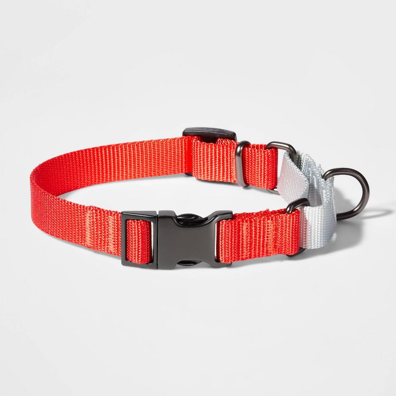 Martingale with Buckle Dog Collar - Tomato/Silver - Boots & Barkley™, 1 of 5