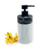 Cameo Countertop Soap/Lotion Dispenser, Rust-Proof Stainless Steel Pump, Non-Slip Silicone Feet - image 2 of 4