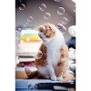 Atomic Bubbles: Kitty Love Calming Bubbles - 2 Pack, 4oz Bottles, Bubble Play - 4 of 4