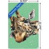 Trends International Snowtap - Giraffe Photobomb Unframed Wall Poster Prints - 3 of 4