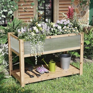 Acekool Wooden Raised Garden Bed with Legs and Storage Shelf, Mobile Elevated Planter for Vegetables, Flowers, Herbs, Patio or Backyard - 1 of 4