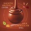LINDOR, Lindt Fall Harvest Chocolate Pumpkin Spice Bag Candy - 5.1oz - 3 of 4
