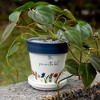 Pavilion Gift Company - The Best - 4" Planter with Tray - Planters - 2 of 4