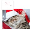25ct Christmas Cats Greeting Cards - Masterpiece Studio - 4 of 4