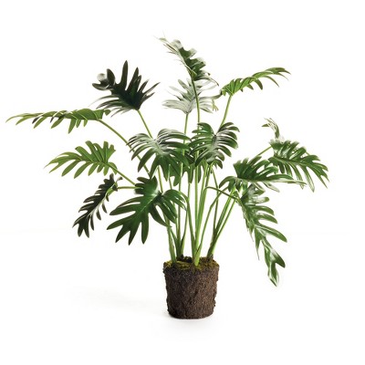 Plum & Post Split Leaf Selloum Drop-In 22.5"