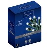 Celebrations LED Micro/5mm Cool White 100 ct String Christmas Lights 24.5 ft. - 2 of 2