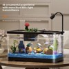 4 Gallon Small Fish Tank, Betta Fish Tank kit with LED Light, Oxygen Generator, Fish Tank Starter Kits for Beta,Goldfish - 3 of 4