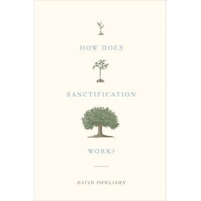 How Does Sanctification Work? - by  David Powlison (Paperback)