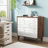 Hommoo 2-Drawer File Cabinet - 3 of 4