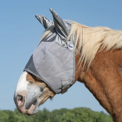 Cool Cashel Crusader Sun Fly Mask: Ultimate UV & Fly Protection for ...