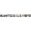 Teacher Created Resources® Go Wild Animals Straight Border Trim, 35 Feet Per Pack, 6 Packs - 2 of 4