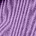 violet bloom stripe