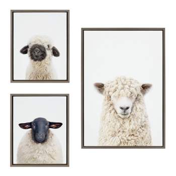 Kate & Laurel All Things Decor (Set of 3) Sylvie Animal Studio Black Nosed and Dorper Sheep Framed Canvas Wall Art Set by Amy Peterson