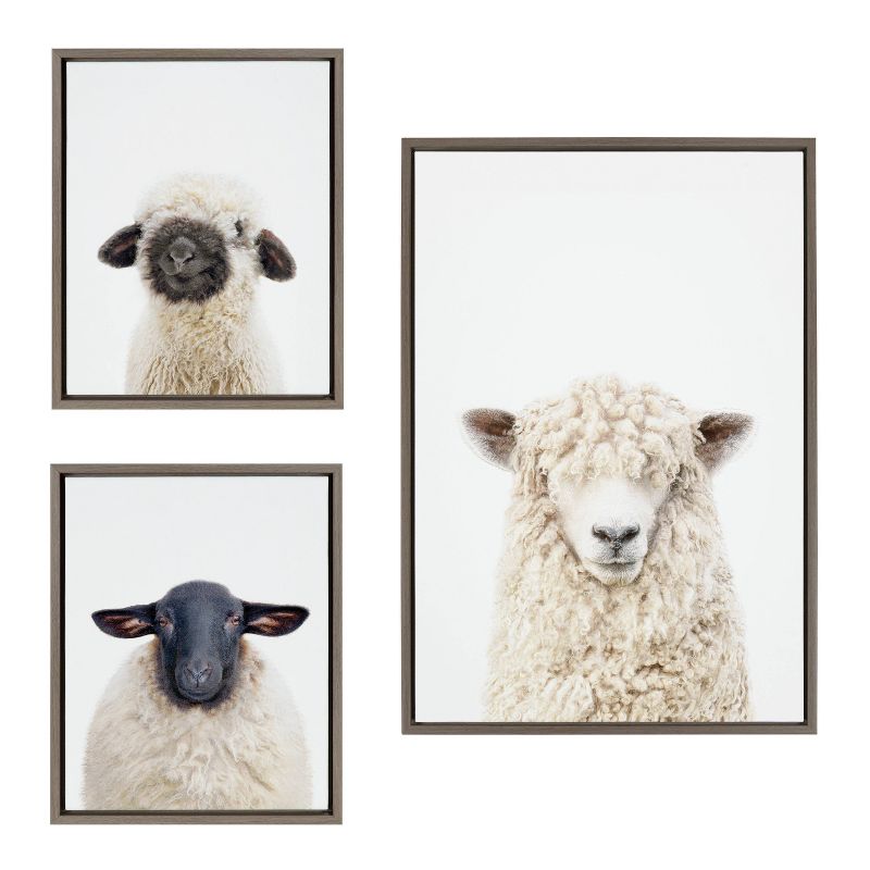 Kate &#38; Laurel All Things Decor (Set of 3) Sylvie Animal Studio Black Nosed and Dorper Sheep Framed Canvas Wall Art Set by Amy Peterson, 1 of 6
