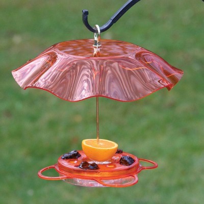 Birds Choice Oriole Nectar Bird Feeder with Weather Guard Kit