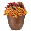 Classic Home and Garden Indoor/Outdoor Round Honeysuckle Resin Flower Pot Planter - 3 of 4