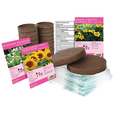 Silver Circle Growing Flowers Classroom Kit