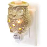 Dawhud Direct White Ceramic Owl Wall Plug-in Fragrance Wax Warmer