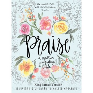 Praise: A Creative Journaling Bible - (Hardcover) - 1 of 1