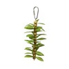 Prevue Pet Products Playfuls Physical & Mental Leaf Kabob Bird Toy 60236 - 2 of 3