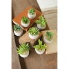 Small Faux Succulents with Round Cement Pots – 2.25" Modern Decorative Greenery, Set of Eight by Kalalou - 3 of 3