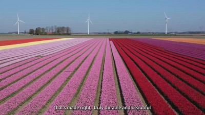 Ivory King Size Deep Pocket Cotton Percale Fitted Sheet Set