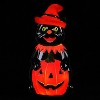 Mr. Halloween 18 in. Outdoor Cat Lit Blow Mold - 4 of 4