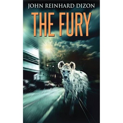 The Fury - by  John Reinhard Dizon (Paperback)