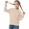 Girls Pullover Sweater Cable Knit Crew Neck Long Sleeve Sweater Knit Tops,Apricot - M - 2 of 4
