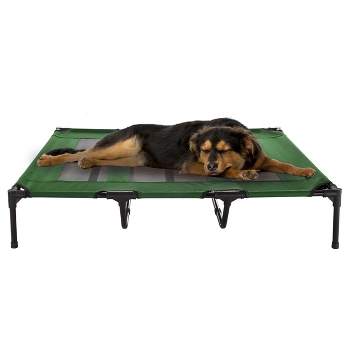 Elevated Dog Bed – 48x35.5 Portable Bed for Pets with Non-Slip Feet – Indoor/Outdoor Dog Cot or Puppy Bed for Pets up to 110lbs by Petmaker (Green)