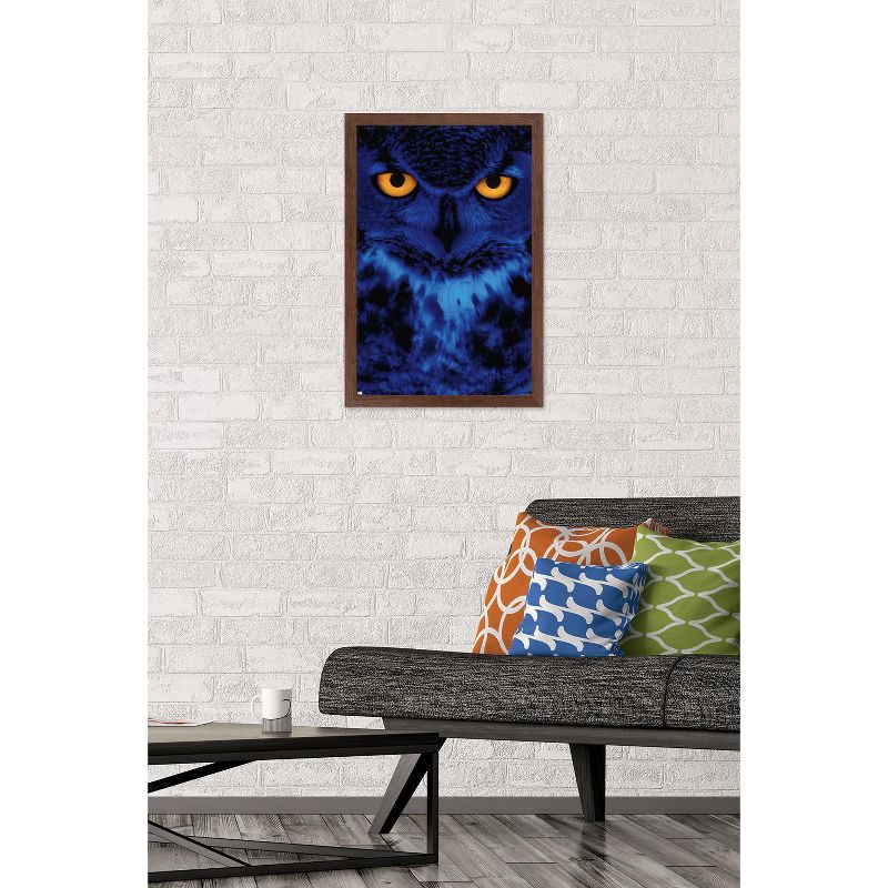 Trends International Owl - Eyes Framed Wall Poster Prints, 2 of 7