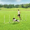 PawHut Adjustable Dog Agility Training Obstacle Set with Weaves Poles and Storage Bag - 2 of 4