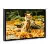 Stupell Industries Sleepy Fall Fox in Autumn Floating Frame Canvas Art - 2 of 4