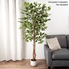 Nature Spring Ficus Artificial Tree - 80-Inch Potted Faux Silk Tree with Natural Looking Leaves for Office or Home Decor - Realistic Indoor Plants - 4 of 4