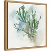 Amanti Art Green Coral I by Aimee Wilson Canvas Wall Art Print Framed 16 x 16-in. - 3 of 4