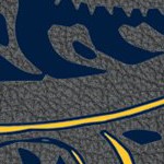 california golden bears
