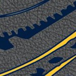 california golden bears