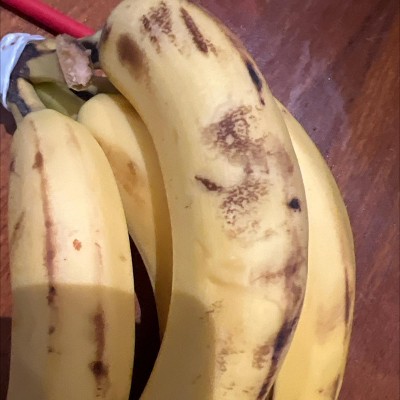 Guest review image 2 of 2, zoom in